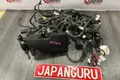 Проводка ноуската Nissan Teana J32 QR25DE 2011 (б/у) — фото 1