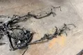 Проводка ДВС Toyota Camry XV40 2AZFE 2007 (б/у) — фото 4