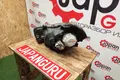 Фара ксеноновая Suzuki Sx4 Sx4 — фото 7