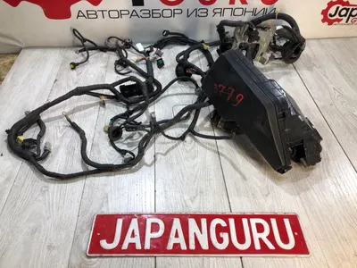 Проводка ноуската Nissan Teana J32 VQ25 2013 (б/у)