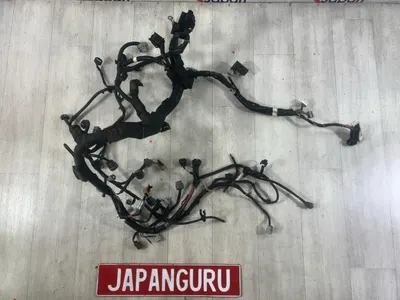 Проводка ДВС Nissan Teana J32 VQ25 2010 (б/у)