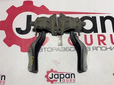 Петля капота Nissan X-Trail NT31 MR20 2011 (б/у)