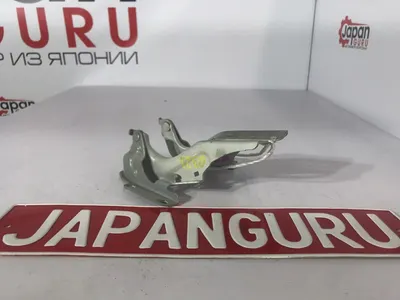 Петля капота Nissan Teana J32 3.5 VQ35 2009 (б/у)
