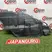 Защита двигателя Toyota Camry XV40 2AZFE 2009 лев. (б/у)